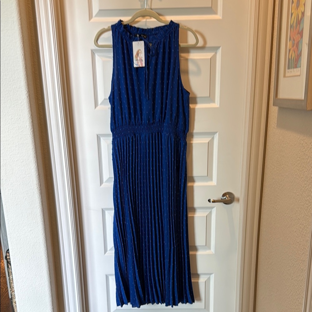 Elegant Blue Pleated Dress by pretty garden